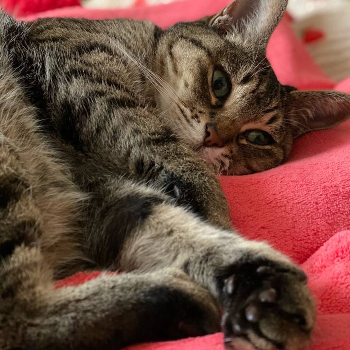 F66c0edb ee1e 44ef 8ec0 636b790078a1 1765006803308