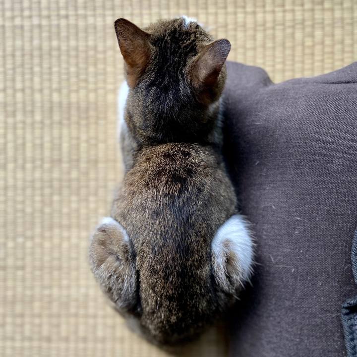 F66c2f3c ad60 4ec5 87f4 8eb896b9711b 1572261978245