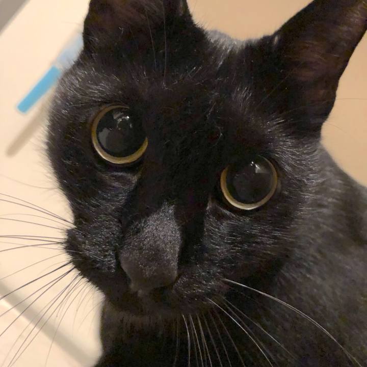 F66c53e2 1324 47d6 8893 d6e933dd5dd7 1540034304270