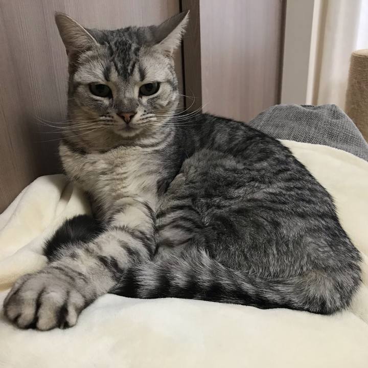 F66c57cf e55d 4164 b5fc e9b08b4d4df4 1547767141211