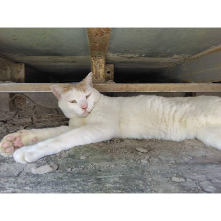 F66c6c72 0e54 440b 9171 35fc7bd05ec5 1660900734536