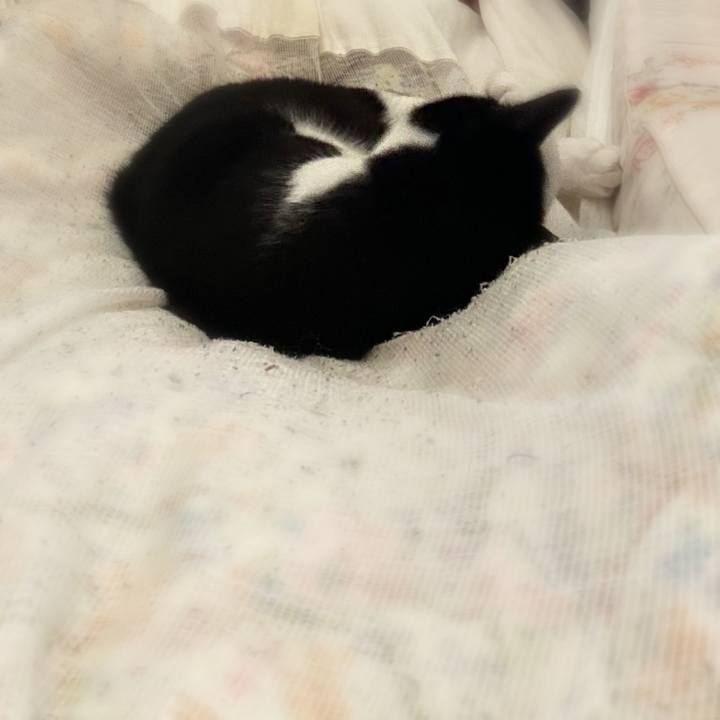 F66c70cd 28bc 4ea4 bbe1 2356be4c8284 1681135440413