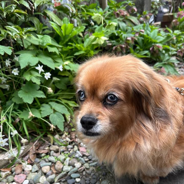 F66caab0 9d4f 4b7b 91ee 45702546611c 1745269833353