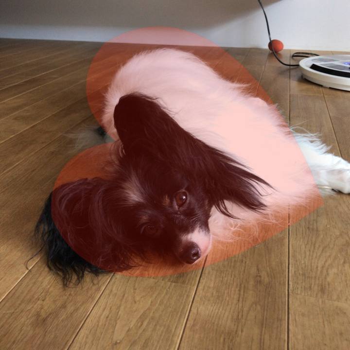 F66cab8e 9ac2 4f3c bac1 a0cdb18b6529 1536476615362