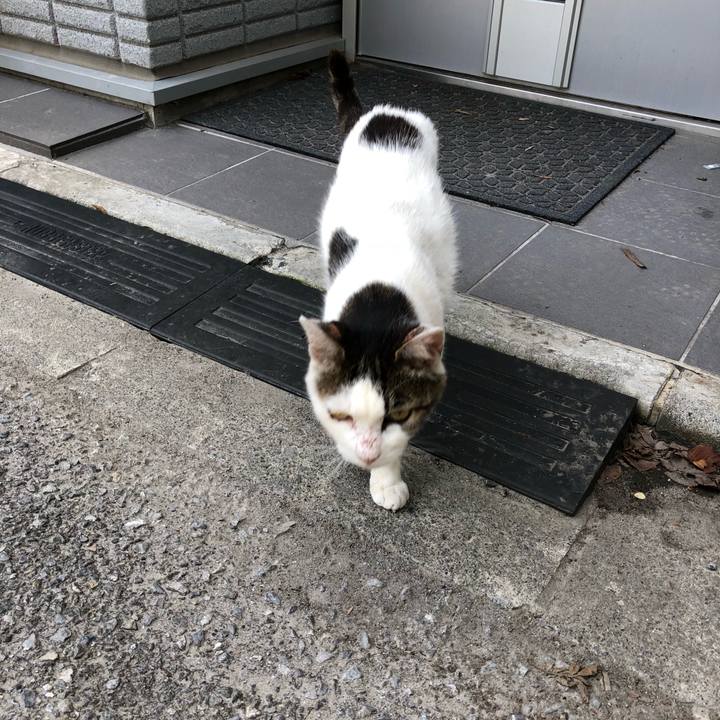 F66cb551 f471 4b21 a739 8d050b08c5ba 1531082694576