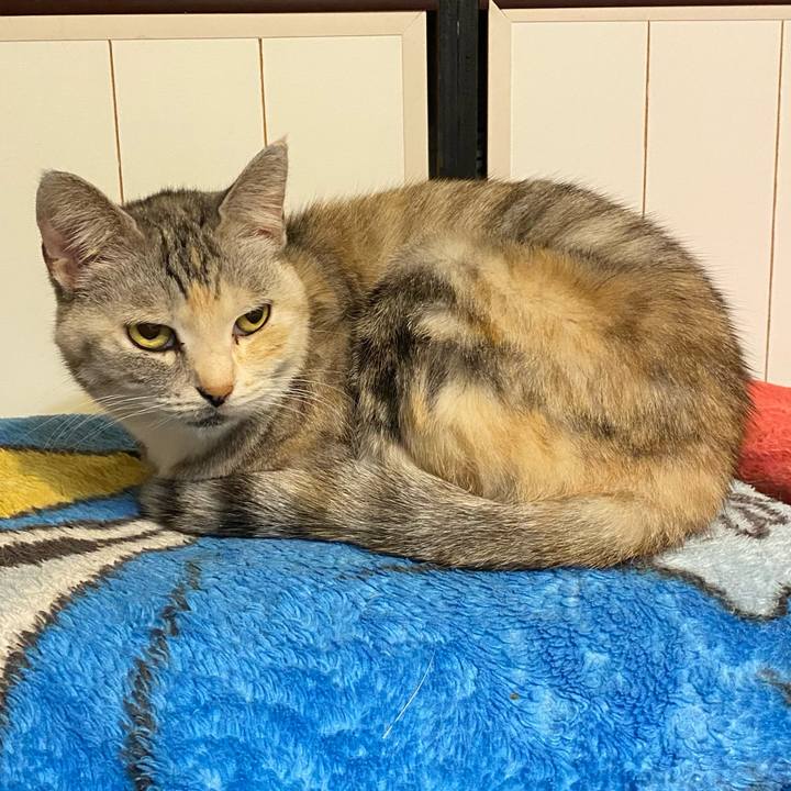 F66cd71a b41a 488c 822d 073cce7ae6dc 1638121400253