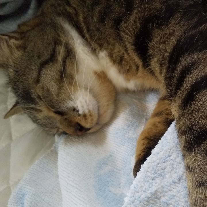 F66d15be 2648 42ee 973b 93d1e0974448 1663225420968