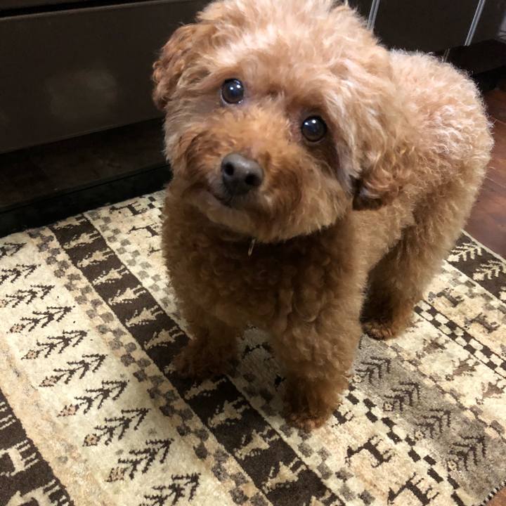 F66d21cc 50fe 4999 a89a b6acaff584ed 1549428698313