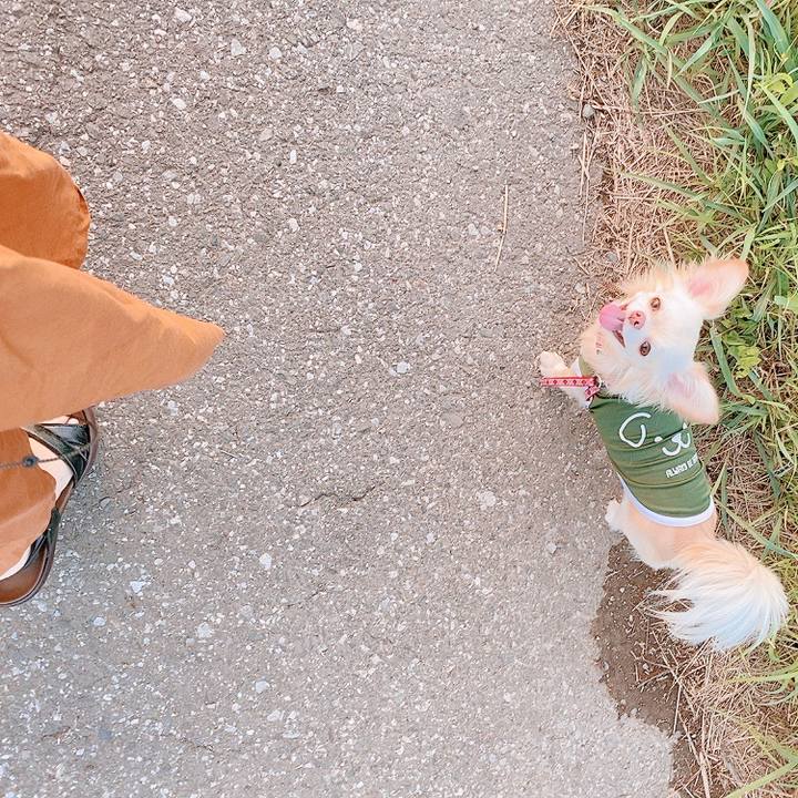 F66d3b41 3a3b 467e 81e3 488fe0b41d27 1623922502846