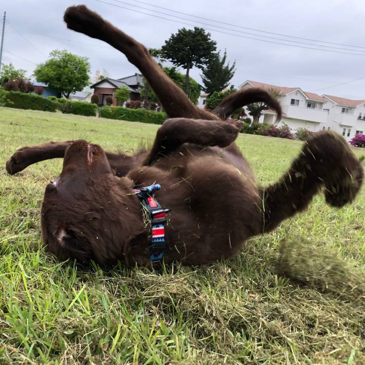 F66d53fe 092a 4700 af81 1c3acf6ab5c0 1557782291711