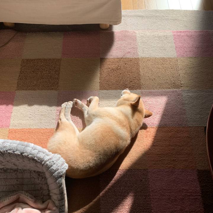 F66d64e9 7670 4e99 ae00 7095bed4b4a4 1641954117197