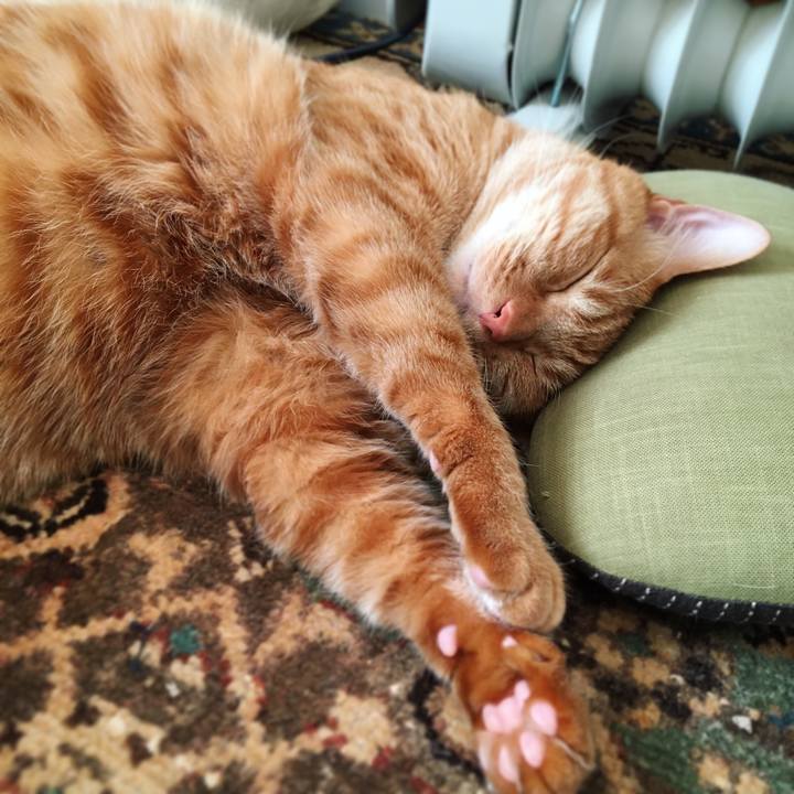 F66d689f c2e5 4854 bc35 42422e5b9c20 1607230188079