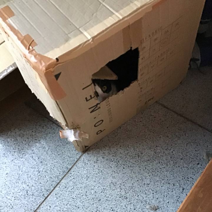 F66d6f65 cef8 4fc8 b2dc f1b0997f0630 1640418035860