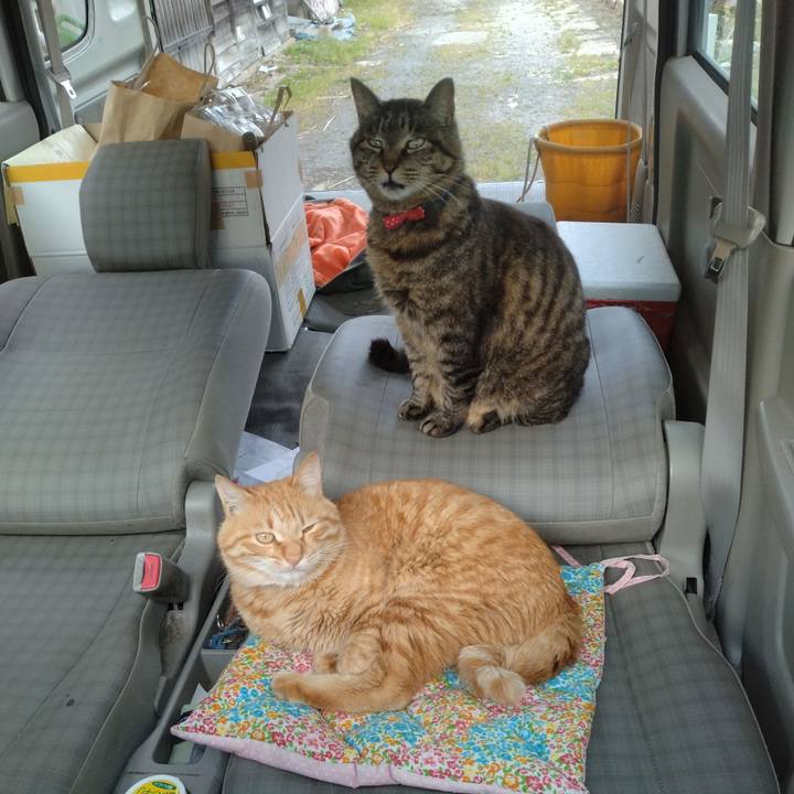 F66d9697 fb10 4c6f b629 3a9590f4c237 1685778681186