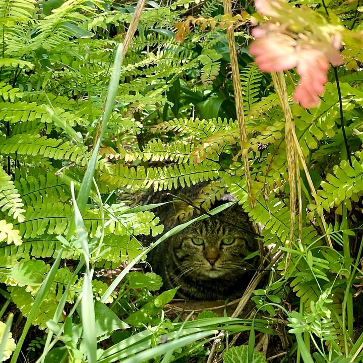 F66da563 ef29 4352 b135 c765539cc9b5 1653803127417