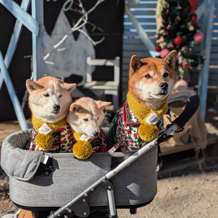 F66dc6a0 fb97 4ff9 a6a3 702983957f09 1734924400438