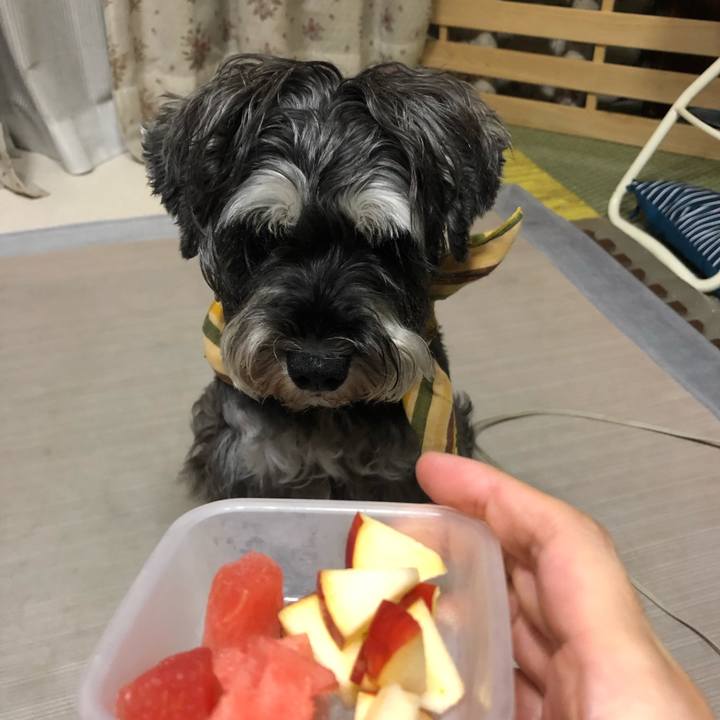 F66ddc85 d515 44d5 91bf 896e7a551f6d 1627312429623