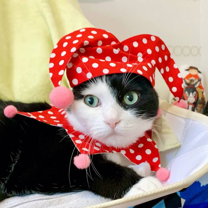 F66df0f8 9572 42c6 a5a0 a481e16977bc 1630666739148