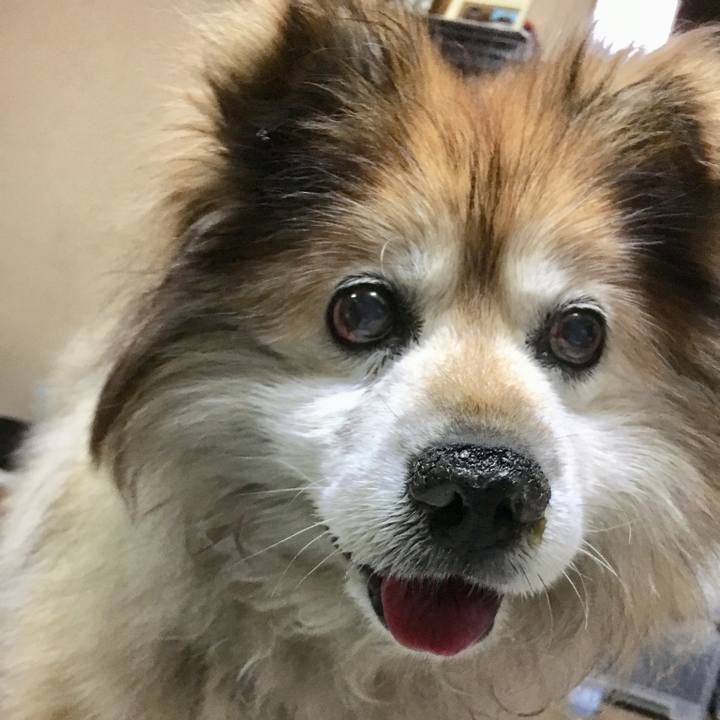 F66df1f1 6880 4d60 8b72 2a1829f36eeb 1563951258039