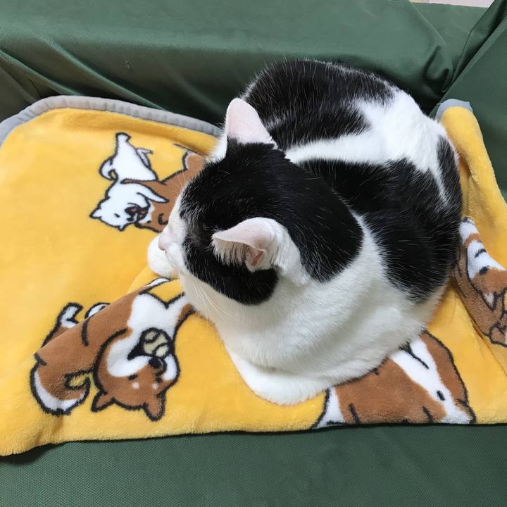 F66e4992 37c8 4ddf 8a30 b8ee85ca902b 1574726209997