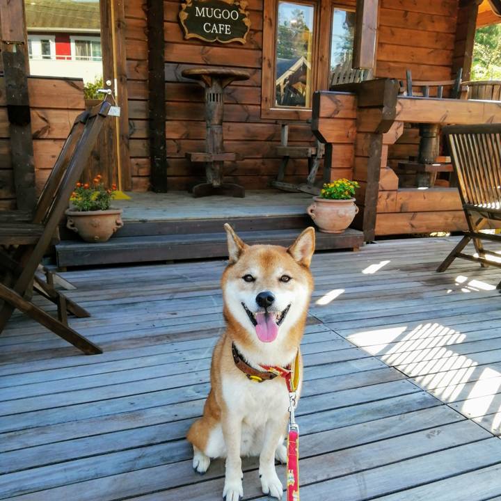 F66e4af1 fa1a 4312 be2f 290a0d7a53e4 1632135534075