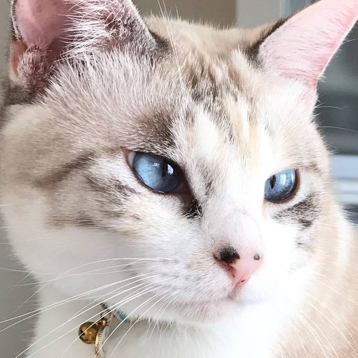 F66e577a 1f94 44c8 8e72 2d2cd0af8d0b 1540646011532