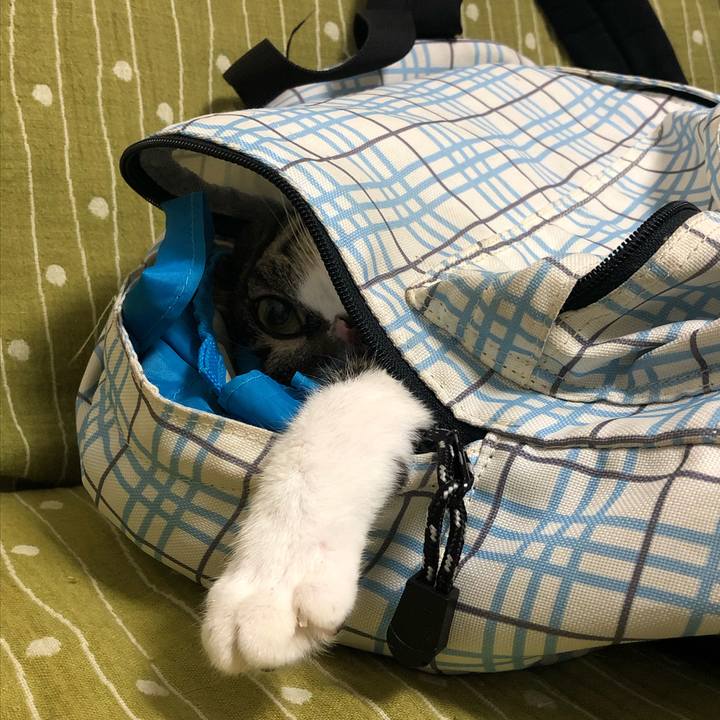 F66edede 7c5c 4a4b 9d6a 19e10a84a7d3 1558775697852