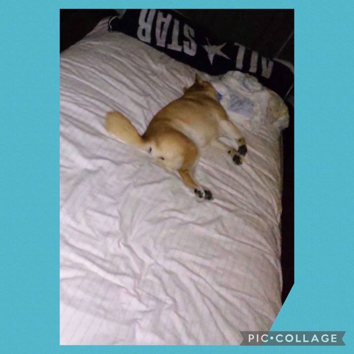 F66edf73 e194 4826 8542 c116b8551f69 1693263310006