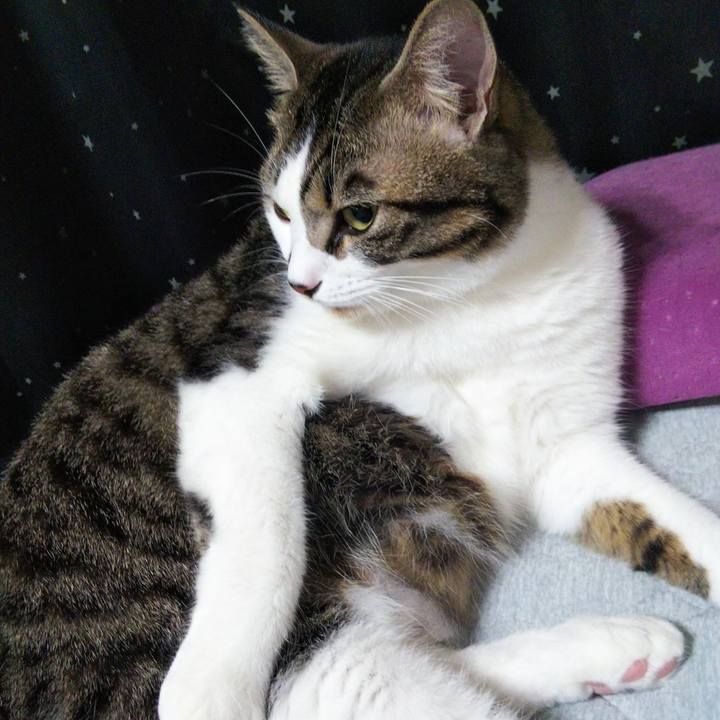 F66f3898 b452 4dec 9c38 9827b2efe178 1634372418823