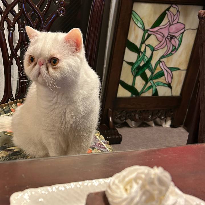 F66f6691 d567 4fdb 956a 943c4eb1a020 1707647696507