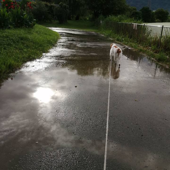 F66f6bf4 b497 45ad 9067 2780a40d3764 1595813046839