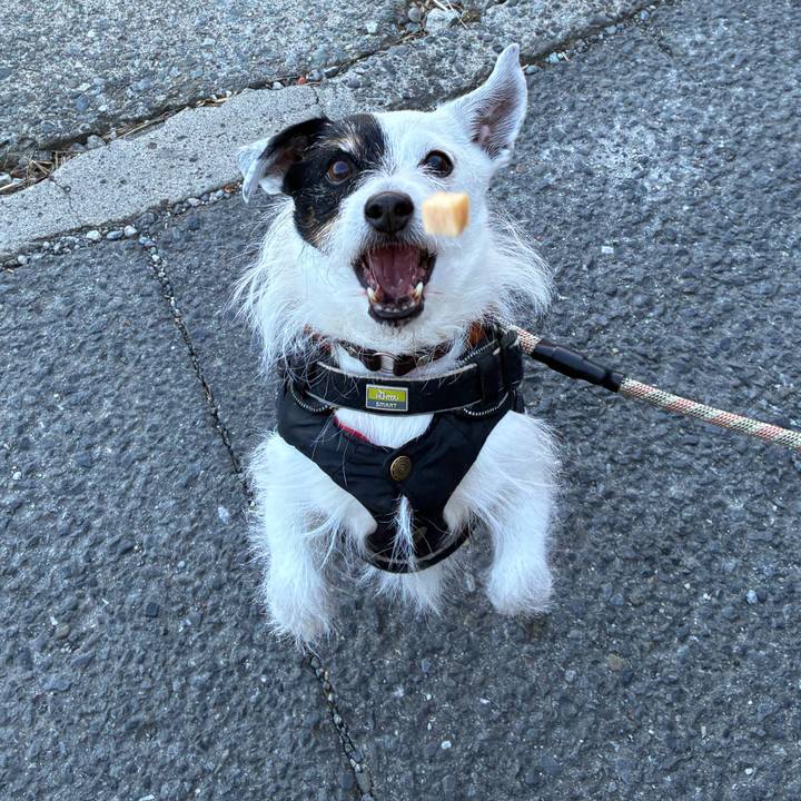 F66f84df ee29 47ec 8c6a 0e8d352b65fa 1770598863624