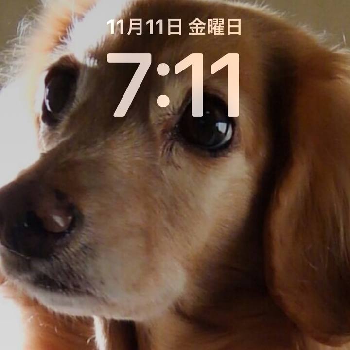 F66f91ed 7076 41ec 9533 e42241e61284 1668139294759