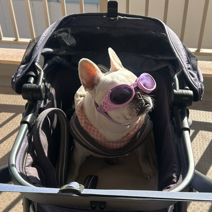 F66fc428 96c7 4fc4 b27b 8270d245515c 1768632477608