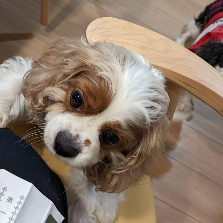 F66fe49a c926 48f2 9f97 8a557cf81b53 1673762565402