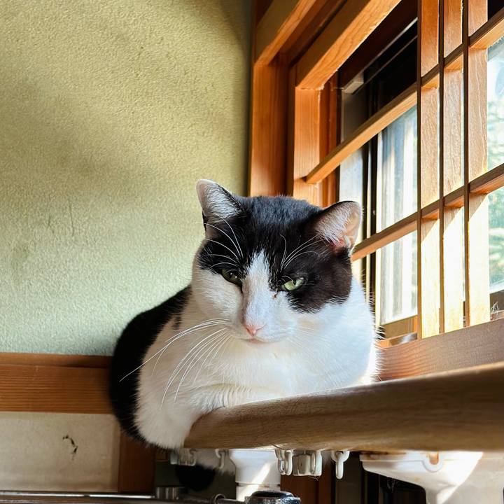 F67002f1 a817 4bd9 85fa f4551ab020d0 1669344649208