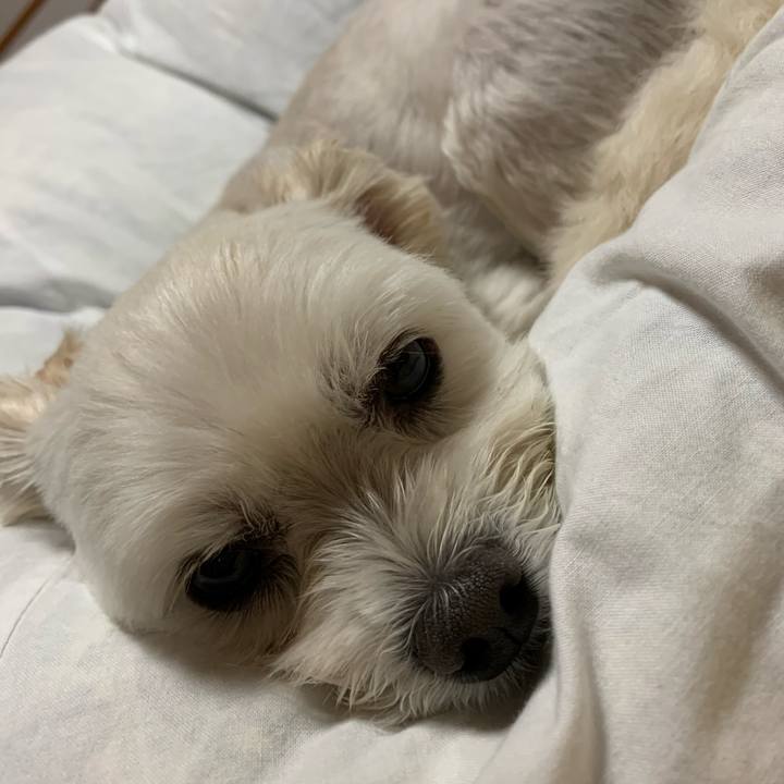 F6701eeb b7dd 4e75 ae21 92830729e996 1571049146169