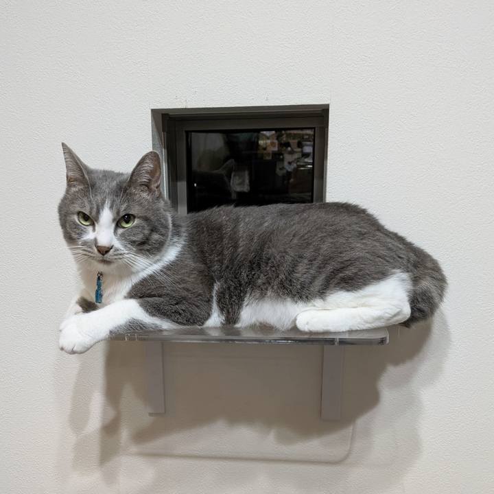 F6704401 4395 42df 89da 60fdcfd49b4e 1754654770801