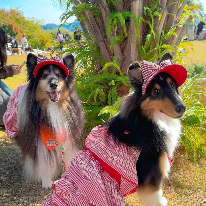 F670d1f2 e631 49a0 a7a4 a6d4cee01eed 1763323167531