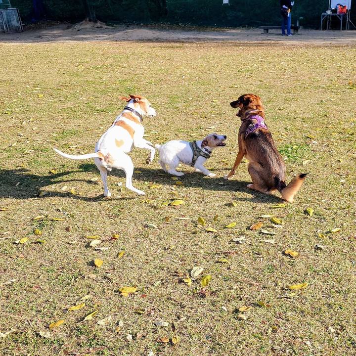 F670da20 8804 4ee8 bdce 9c4a90d3185c 1762647709143