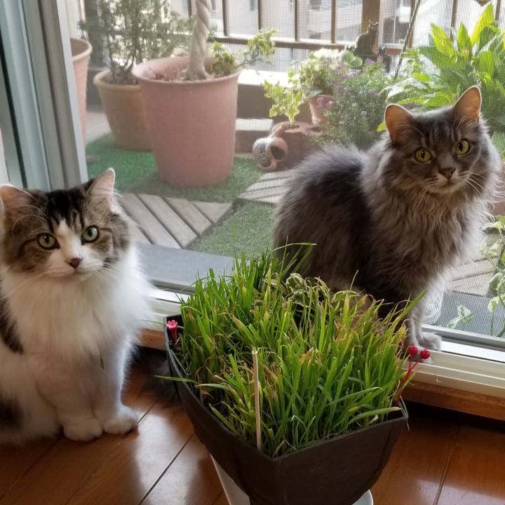 F670f836 fba1 4ced b77b 2c5411986e70 1569881694352