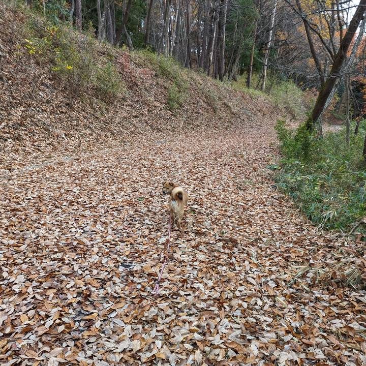 F6716dad 73e4 4cc7 8865 65da4240bb04 1669209146833