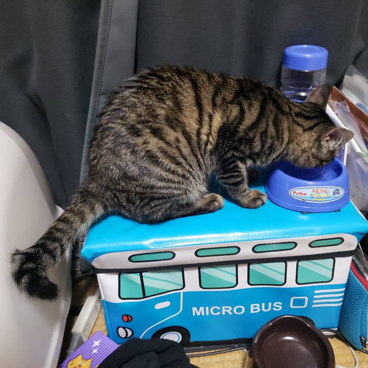 F67177af 0456 43cb 9383 71bb9122d814 1543672128184