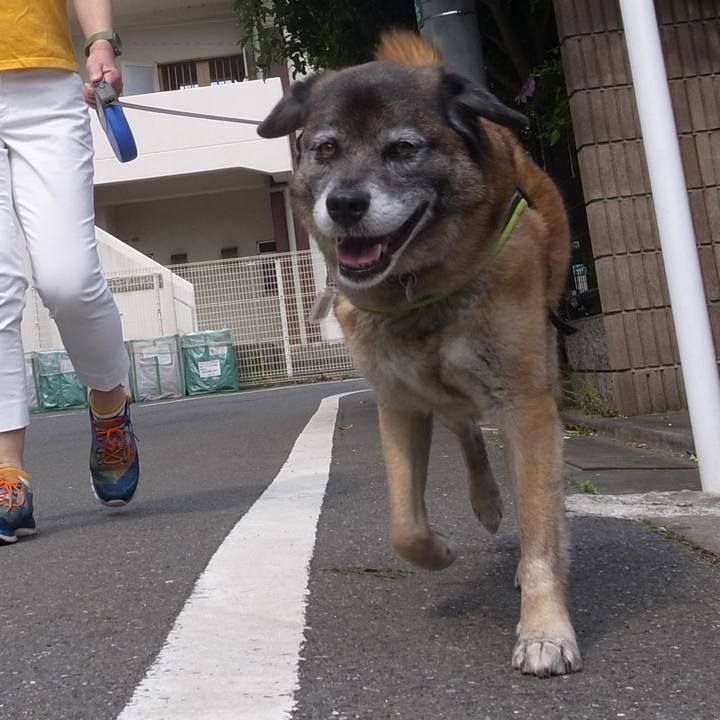 F671f679 4e89 41e5 98ab 66418f27cea0 1585733910220