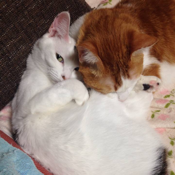 F67206aa 5c53 4f9e b627 6f422efb6286 1509453870253