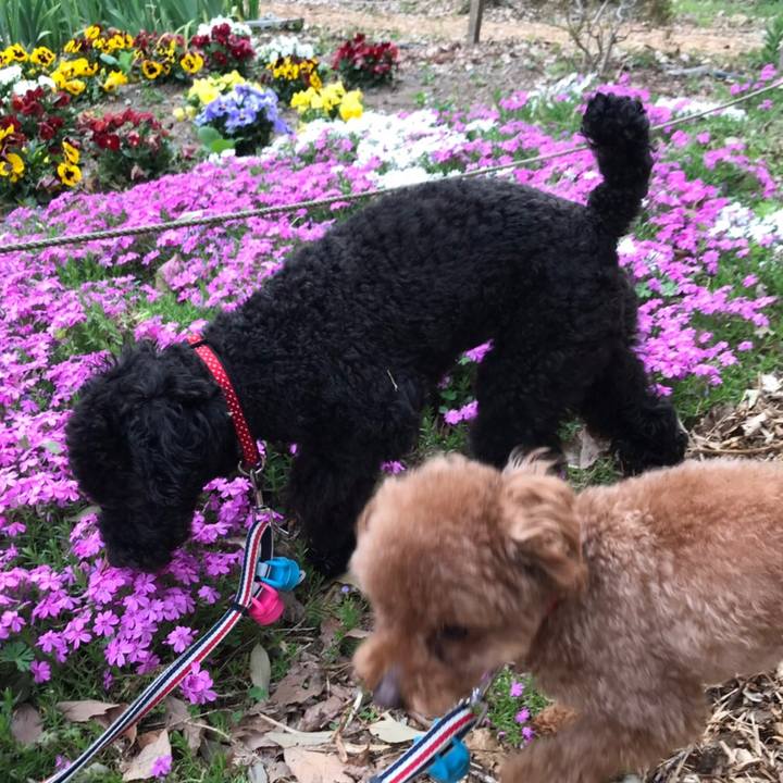 F6724811 d962 462e a24c c580d66bc424 1555578120769