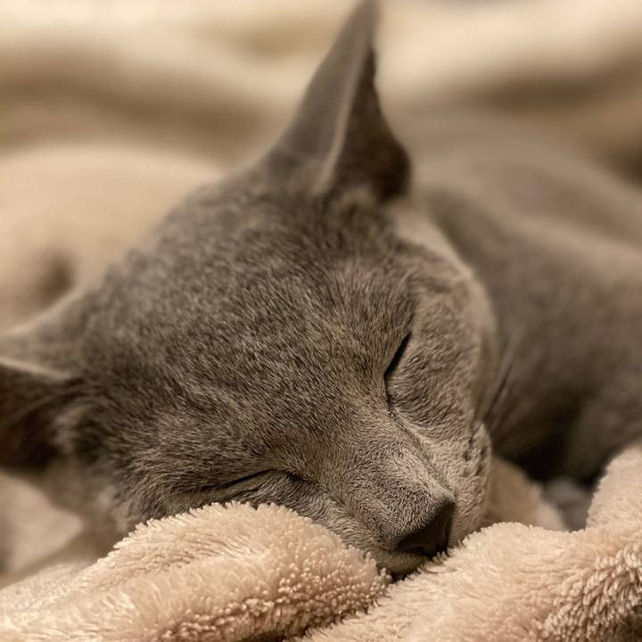 F672d7d6 b39c 4043 8031 869153fceb98 1604578041944