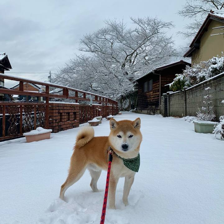 F67304e1 fbb9 487e 8d75 ab8ee16eae66 1674808891554