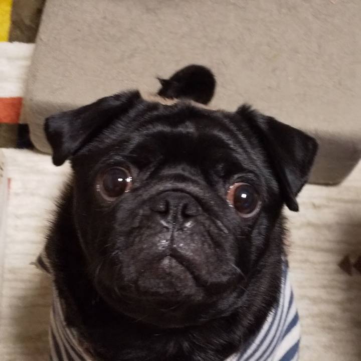 F67328cb ce36 4f12 a286 76d02d873bf0 1613135538458