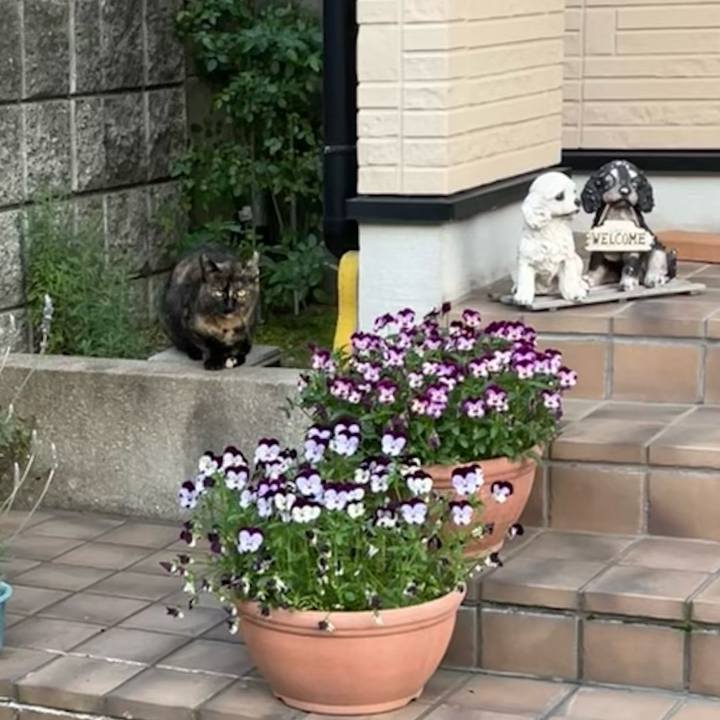 F673373e 5128 4712 bd1f 19915390eb6b 1714056721705